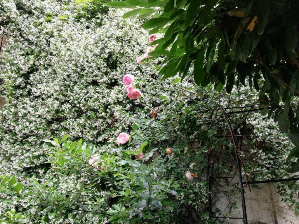 Apartamento Relax Santa Chiara Bra Exterior foto